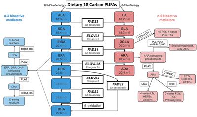 Interpreting Clinical Trials With Omega-3 Supplements in the Context of Ancestry and FADS Genetic Variation